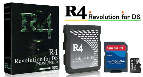 r4 ds software